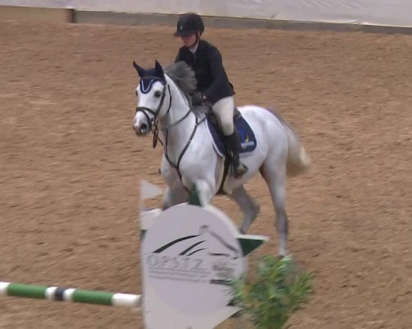 Reitturnier Kreuth/Opf. 2019