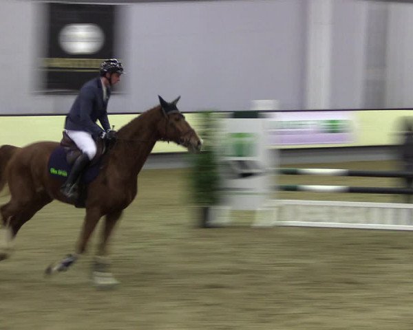 Reitturnier Münster-Handorf 2019