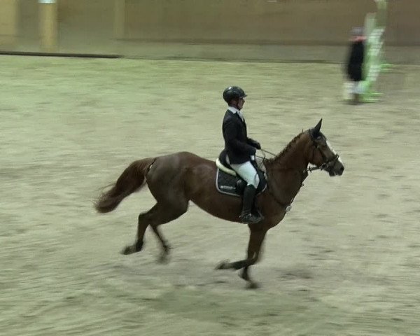 Reitturnier Prussendorf 2019