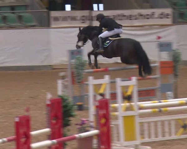 Reitturnier Kreuth/Opf. 2019