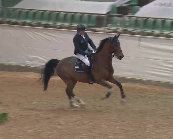 Reitturnier Kreuth/Opf. 2019