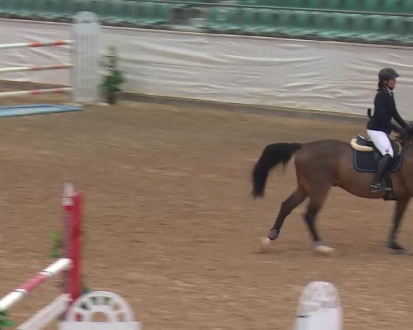 Reitturnier Kreuth/Opf. 2019