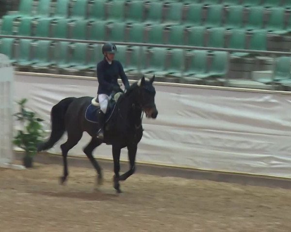 Reitturnier Kreuth/Opf. 2019