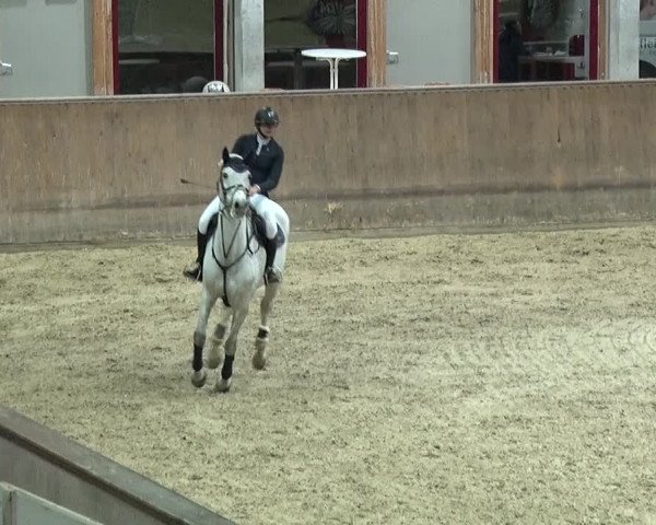 Reitturnier Prussendorf 2019