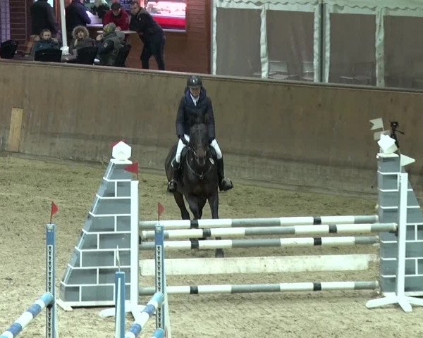Reitturnier Prussendorf 2019