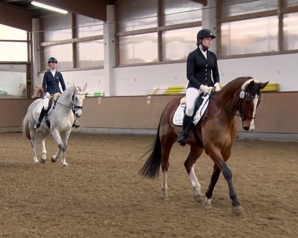 Reitturnier Jühnsdorf 2019