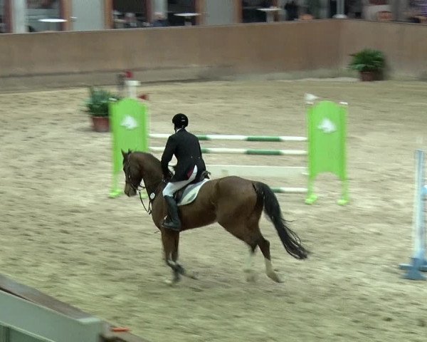 Reitturnier Prussendorf 2019