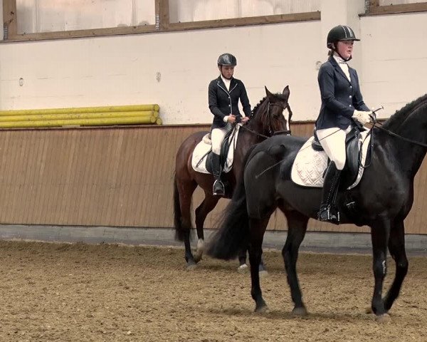 Reitturnier Jühnsdorf 2019