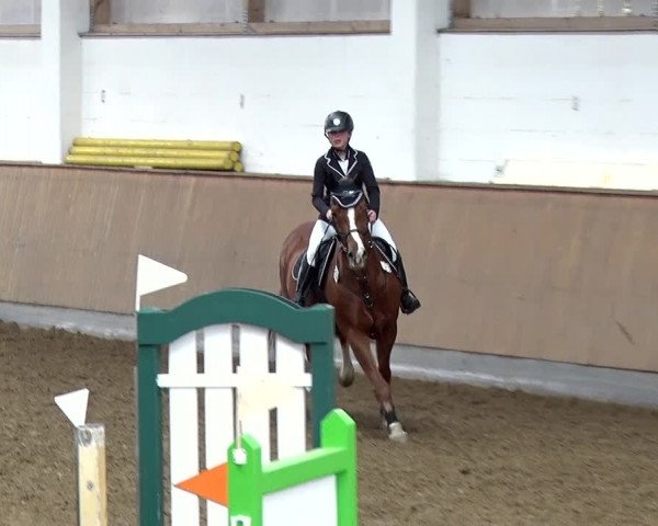 Reitturnier Jühnsdorf 2019