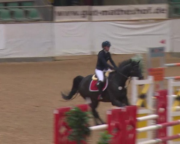 Reitturnier Kreuth/Opf. 2019