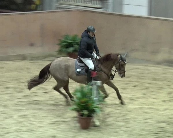 Reitturnier Prussendorf 2019