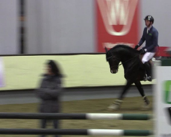Reitturnier Münster-Handorf 2019