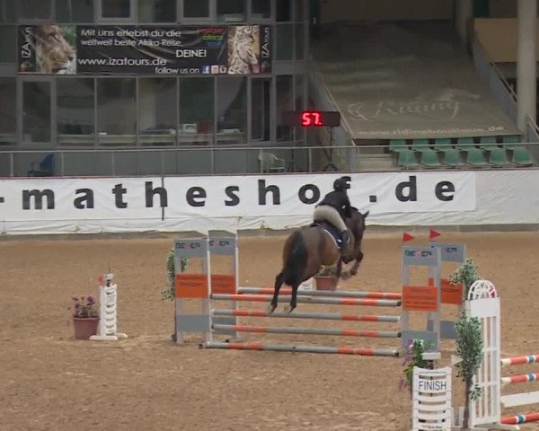 Reitturnier Kreuth/Opf. 2019