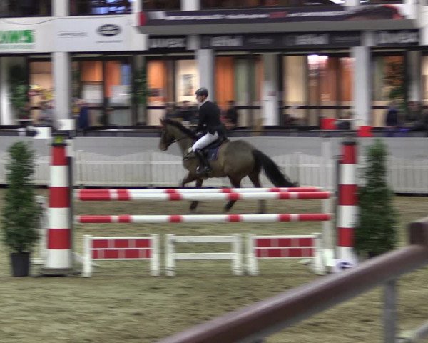 Reitturnier Münster-Handorf 2019