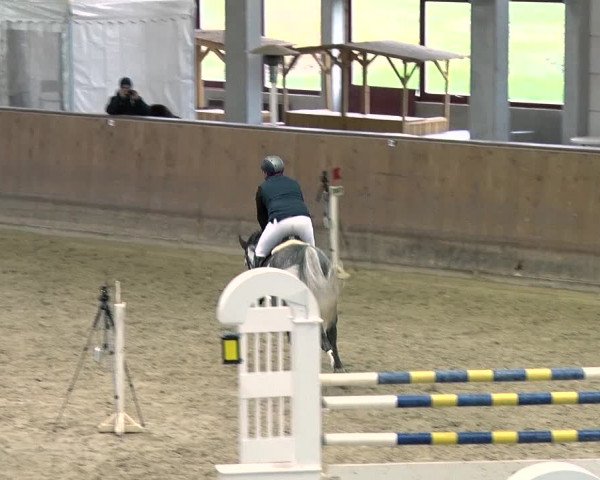 Reitturnier Prussendorf 2019