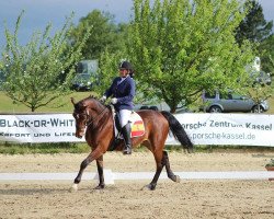 dressage horse Cupido 83 (Westphalian, 2009, from Coronas 2)