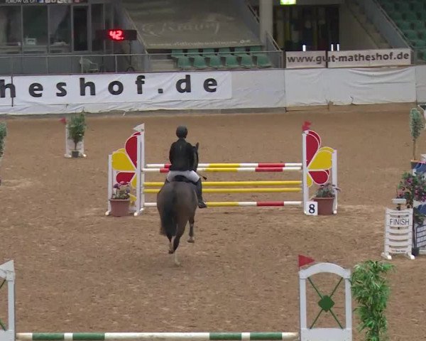 Reitturnier Kreuth/Opf. 2019