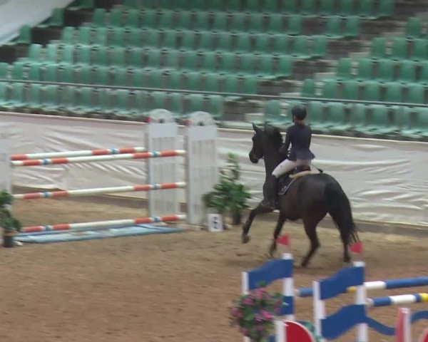 Reitturnier Kreuth/Opf. 2019