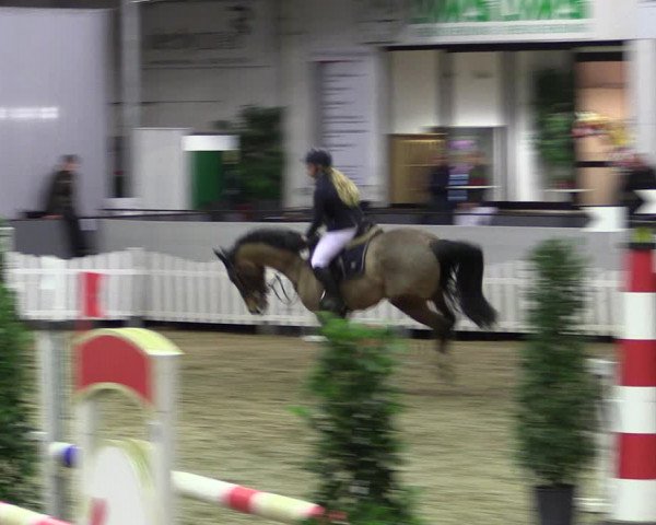 Reitturnier Münster-Handorf 2019