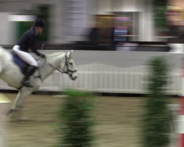 Reitturnier Münster-Handorf 2019