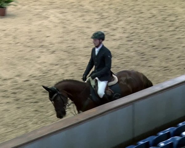 Reitturnier Prussendorf 2019