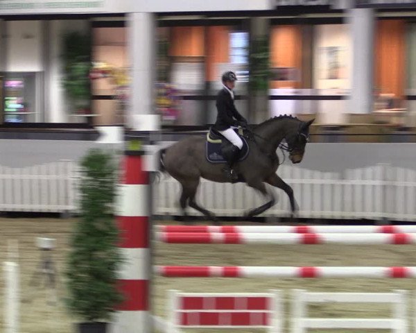 Reitturnier Münster-Handorf 2019