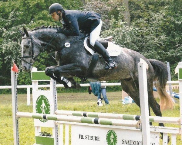 horse NBZ The Chosen One (Hanoverian, 2006, from All in One)