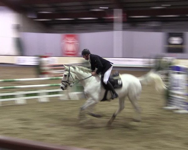 Reitturnier Münster-Handorf 2019