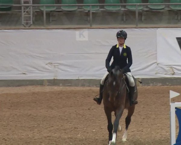 Reitturnier Kreuth/Opf. 2019