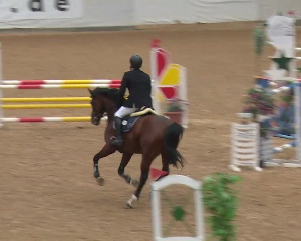 Reitturnier Kreuth/Opf. 2019