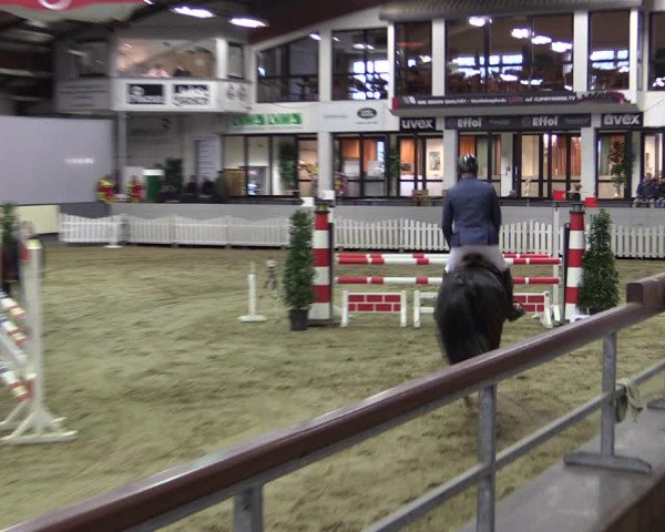 Reitturnier Münster-Handorf 2019