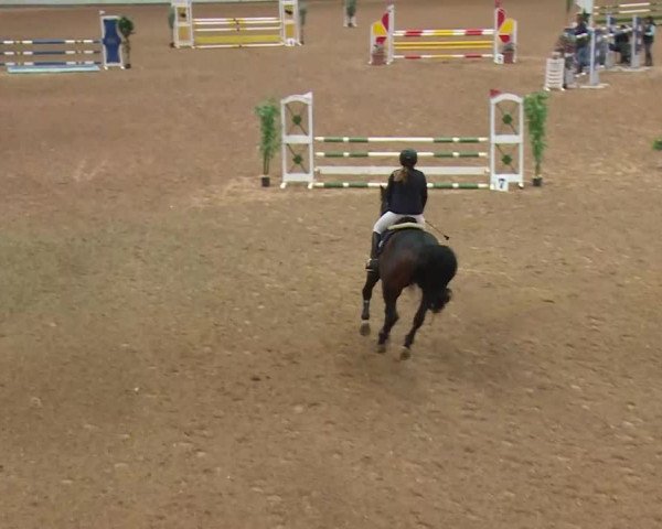 Reitturnier Kreuth/Opf. 2019