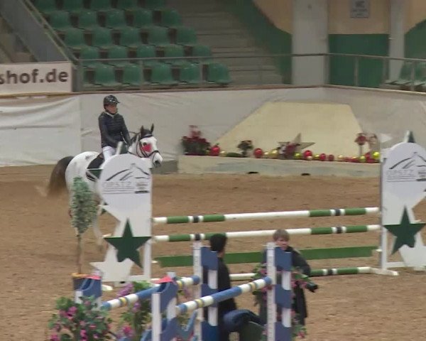 Reitturnier Kreuth/Opf. 2019