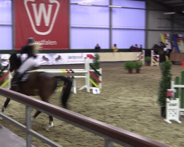 Reitturnier Münster-Handorf 2019