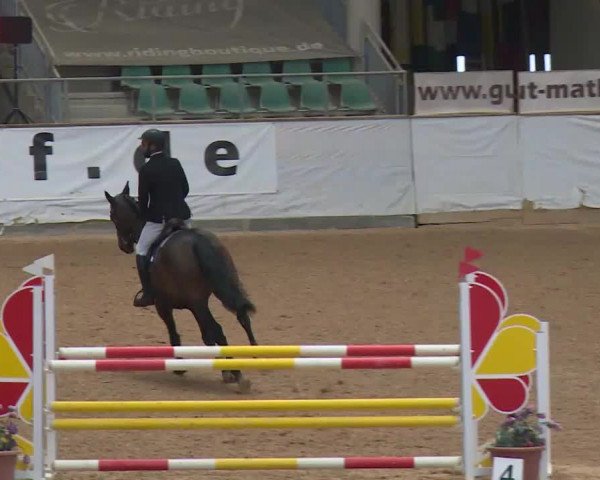 Reitturnier Kreuth/Opf. 2019