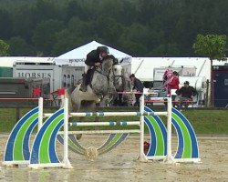 jumper I Like (Belgian Warmblood, 2008, from Winningmood van de Arenberg)