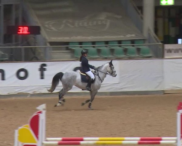 Reitturnier Kreuth/Opf. 2019