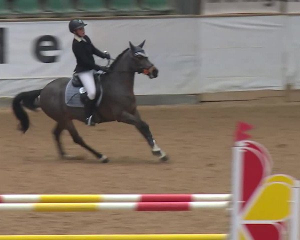 Reitturnier Kreuth/Opf. 2019