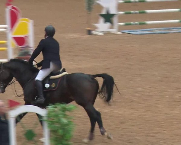 Reitturnier Kreuth/Opf. 2019