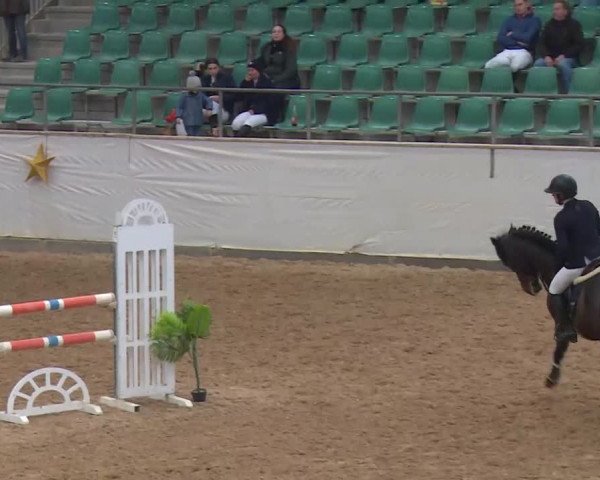 Reitturnier Kreuth/Opf. 2019