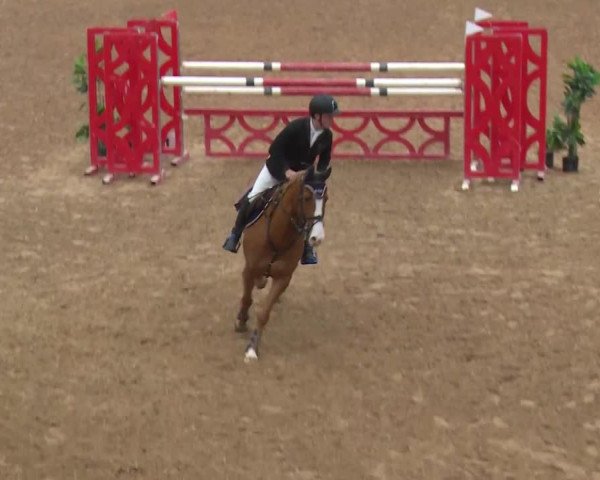 Reitturnier Kreuth/Opf. 2019