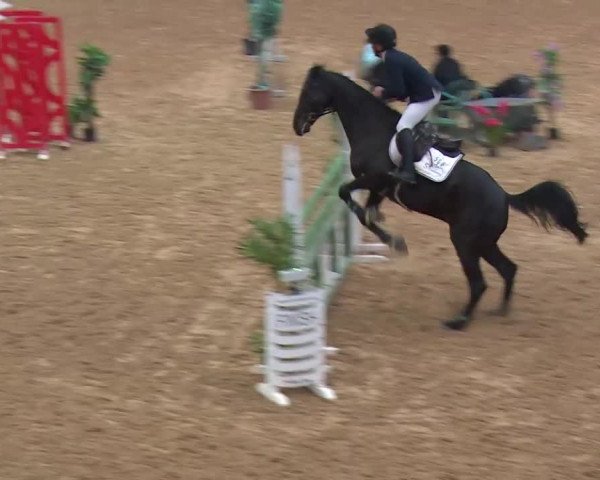 Reitturnier Kreuth/Opf. 2019
