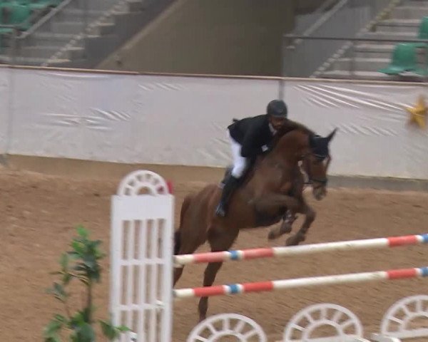 Reitturnier Kreuth/Opf. 2019