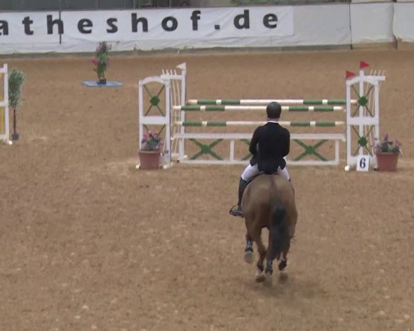Reitturnier Kreuth/Opf. 2019