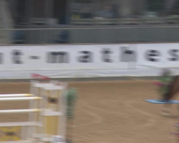 Reitturnier Kreuth/Opf. 2019