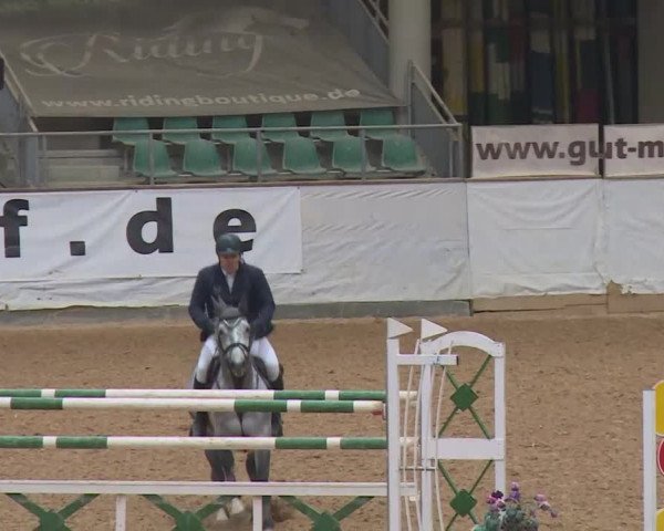 Reitturnier Kreuth/Opf. 2019