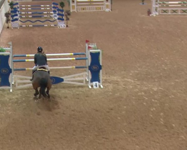 Reitturnier Kreuth/Opf. 2019