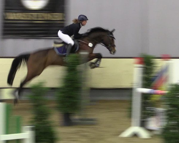 Reitturnier Münster-Handorf 2019
