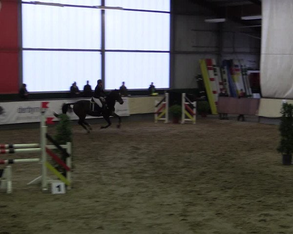 Reitturnier Münster-Handorf 2019
