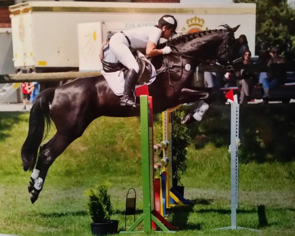 jumper Selenia B (Rhinelander, 2010, from Son of Cologne)